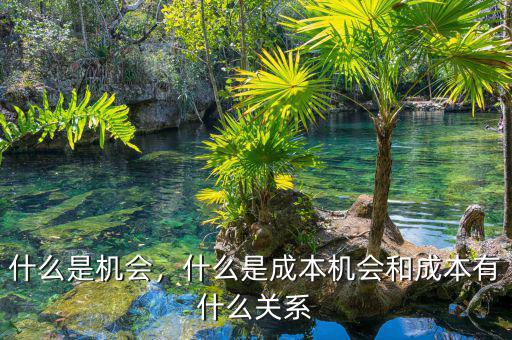 什么是機(jī)會(huì)，什么是成本機(jī)會(huì)和成本有什么關(guān)系