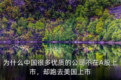 為什么中國很多優(yōu)質(zhì)的公司不在A股上市，卻跑去美國上市
