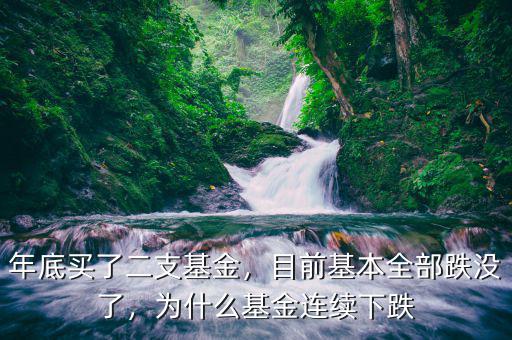 年底買了二支基金，目前基本全部跌沒了，為什么基金連續(xù)下跌