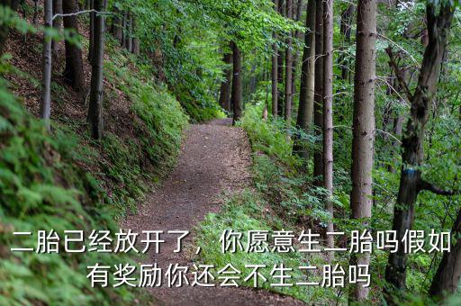 二胎已經(jīng)放開了，你愿意生二胎嗎假如有獎(jiǎng)勵(lì)你還會(huì)不生二胎嗎
