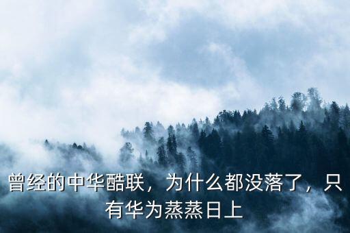 曾經(jīng)的中華酷聯(lián)，為什么都沒落了，只有華為蒸蒸日上