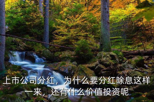 上市公司分紅，為什么要分紅除息這樣一來，還有什么價(jià)值投資呢