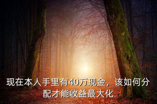 現(xiàn)在本人手里有40萬(wàn)現(xiàn)金，該如何分配才能收益最大化