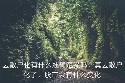 去散戶化有什么準(zhǔn)確定義嗎，真去散戶化了，股市會(huì)有什么變化