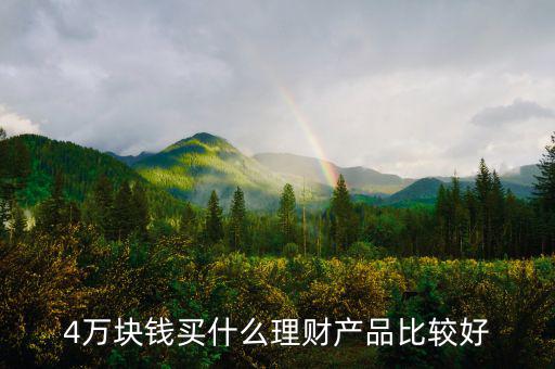 4萬塊錢買什么理財(cái)產(chǎn)品比較好