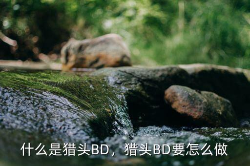 什么是獵頭BD，獵頭BD要怎么做