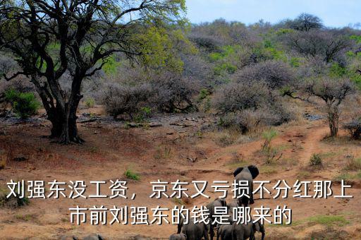 劉強東沒工資，京東又虧損不分紅那上市前劉強東的錢是哪來的