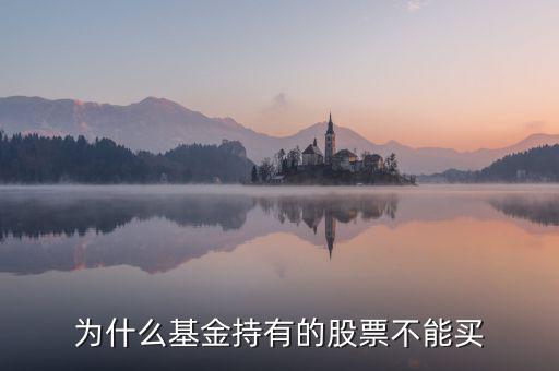為什么有的股票不能買(mǎi),為什么基金持有的股票不能買(mǎi)