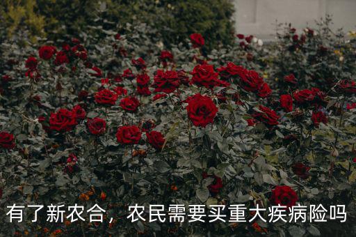 有了新農(nóng)合，農(nóng)民需要買重大疾病險嗎