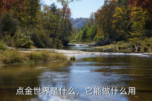 點金世界是什么，它能做什么用
