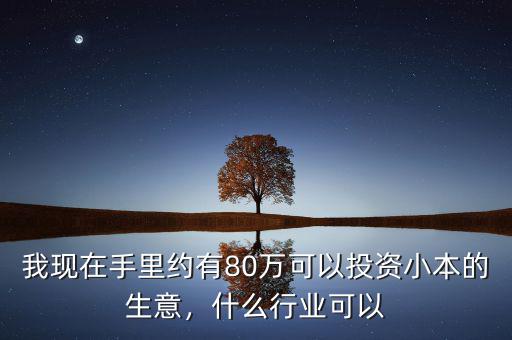 我現(xiàn)在手里約有80萬可以投資小本的生意，什么行業(yè)可以