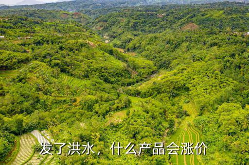 發(fā)了洪水，什么產(chǎn)品會漲價