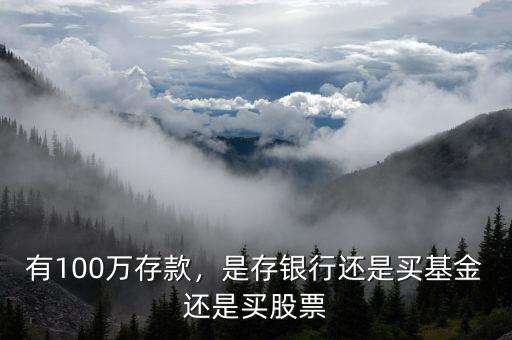 有100萬存款，是存銀行還是買基金還是買股票