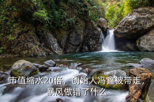 市值縮水20倍，創(chuàng)始人馮鑫被帶走，暴風(fēng)做錯(cuò)了什么