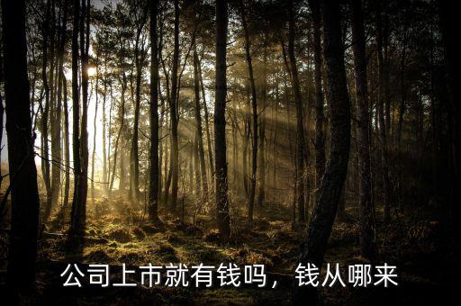 公司上市就有錢(qián)嗎，錢(qián)從哪來(lái)