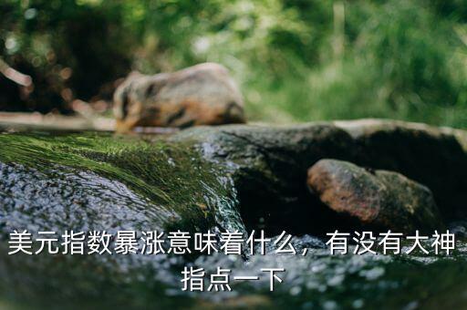 美元指數(shù)暴漲意味著什么，有沒有大神指點(diǎn)一下