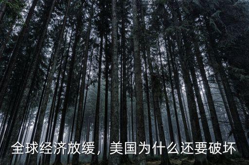 全球經(jīng)濟(jì)放緩，美國為什么還要破壞