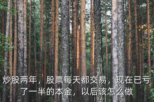 炒股兩年，股票每天都交易，現(xiàn)在已虧了一半的本金，以后該怎么做