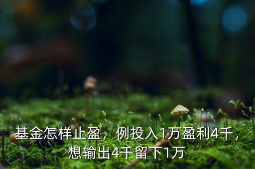 基金怎樣止盈，例投入1萬盈利4千，想輸出4千留下1萬