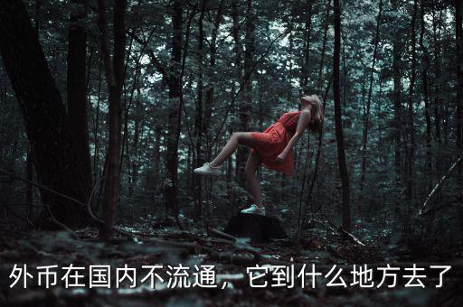 外幣在國內(nèi)不流通，它到什么地方去了