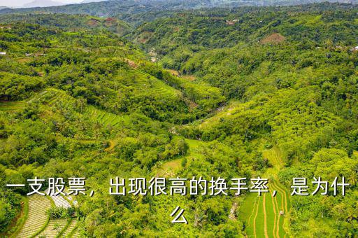一支股票，出現(xiàn)很高的換手率，是為什么