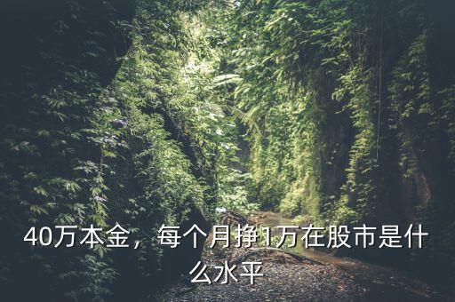 40萬本金，每個月掙1萬在股市是什么水平