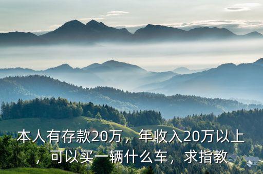 本人有存款20萬(wàn)，年收入20萬(wàn)以上，可以買(mǎi)一輛什么車(chē)，求指教