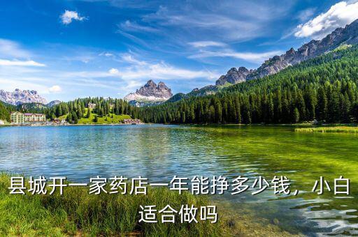 縣城開(kāi)一家藥店一年能掙多少錢(qián)，小白適合做嗎