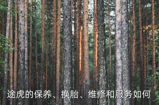 途虎的保養(yǎng)、換胎、維修和服務(wù)如何