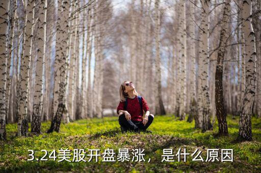 3.24美股開盤暴漲，是什么原因