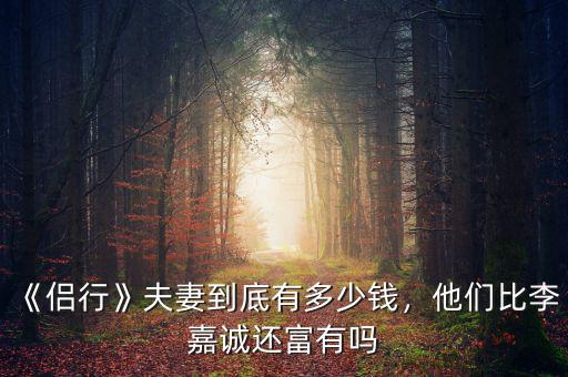 《侶行》夫妻到底有多少錢(qián)，他們比李嘉誠(chéng)還富有嗎