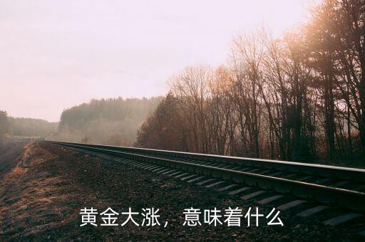 黃金大漲，意味著什么