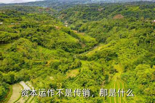 資本運作不是傳銷，那是什么