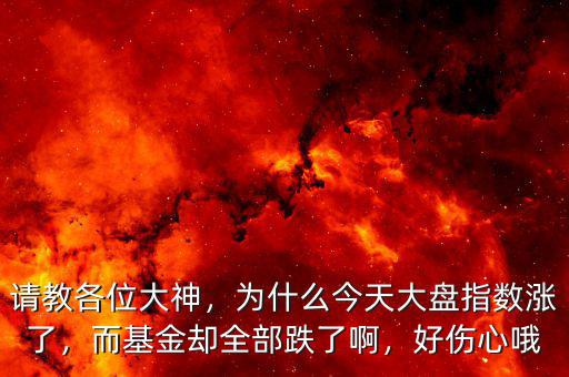 請教各位大神，為什么今天大盤指數(shù)漲了，而基金卻全部跌了啊，好傷心哦