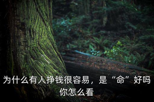 為什么有人掙錢很容易，是“命”好嗎你怎么看