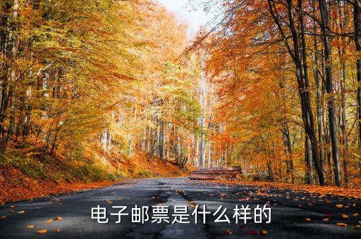 油票的電子發(fā)票長(zhǎng)什么樣，電子發(fā)票是什么樣的