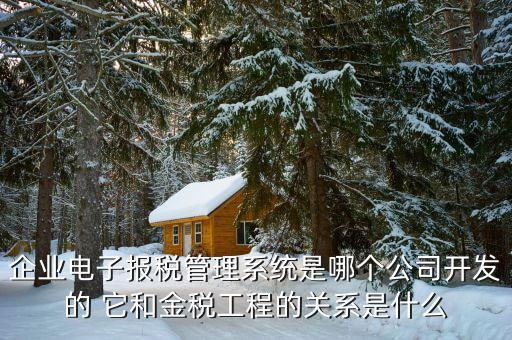 什么是網(wǎng)稅系統(tǒng)，企業(yè)電子報(bào)稅管理系統(tǒng)是哪個(gè)公司開(kāi)發(fā)的 它和金稅工程的關(guān)系是什么