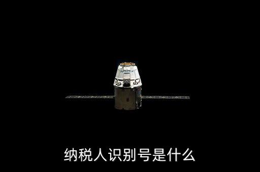 海寧市國家稅務(wù)局認(rèn)別號(hào)是什么，納稅人識(shí)別號(hào)是什么