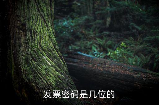 普通發(fā)票密碼是什么，國(guó)稅局發(fā)票軟件里用戶(hù)代碼和密碼是什么