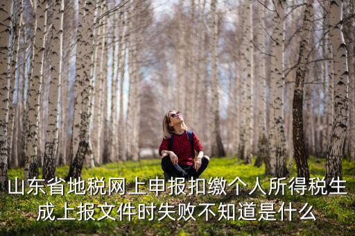 山東地稅網(wǎng)為什么沒法報稅，山東地稅網(wǎng)上申報系統(tǒng)網(wǎng)頁無法訪問是什么原因