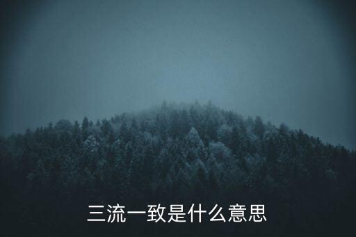 發(fā)票 流向一致是什么意思，發(fā)票四流一致是哪四流