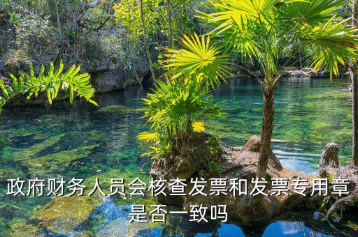 什么情況會核查發(fā)票，就是稅務(wù)局導(dǎo)出數(shù)據(jù)的時候會不會核對一下發(fā)票的因?yàn)槲也淮_定自