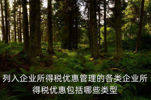 企業(yè)所得稅優(yōu)惠事項(xiàng)名稱指什么，享受企業(yè)所得稅優(yōu)惠申請表中稅收優(yōu)惠事項(xiàng)名稱怎么填