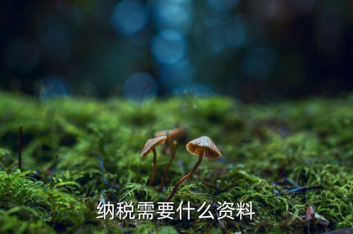 納稅人需要什么，納稅需要什么資料