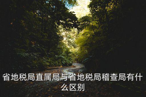 什么是地稅直屬局，國(guó)家稅務(wù)局直屬稅務(wù)分局是什么意思