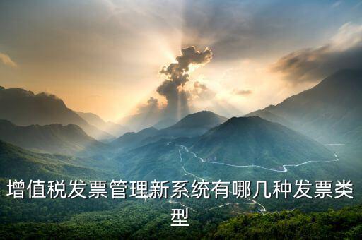 增值稅發(fā)票管理新系統(tǒng)是什么，增值稅開票系統(tǒng)有幾種 增值稅開票系統(tǒng)有哪些