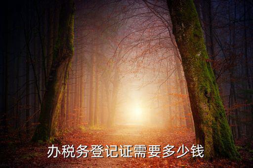 稅務(wù)局登記需要什么手續(xù)費，辦稅務(wù)登記證需要多少錢
