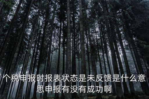 個稅為什么要獲取反饋信息，個稅申報完成后的反饋文件有什么用