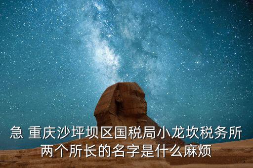 稅務(wù)所所長什么級(jí)別，地稅局基層稅務(wù)所屬什么層級(jí)