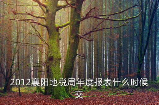 2012襄陽地稅局年度報(bào)表什么時(shí)候交